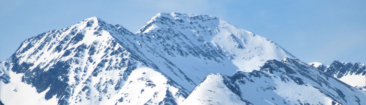 Ici ne subsiste que la paix. 2020